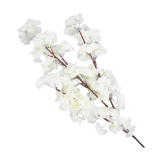 Decorative Products