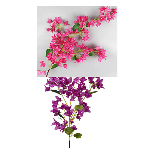 Decorative Products