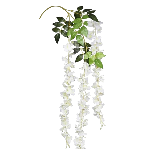 Decorative Products