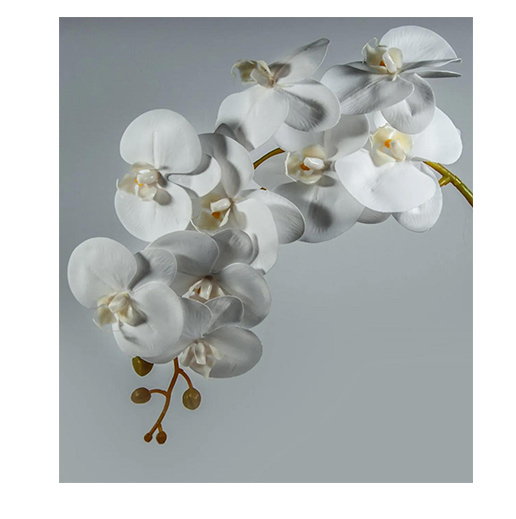 Decorative Products