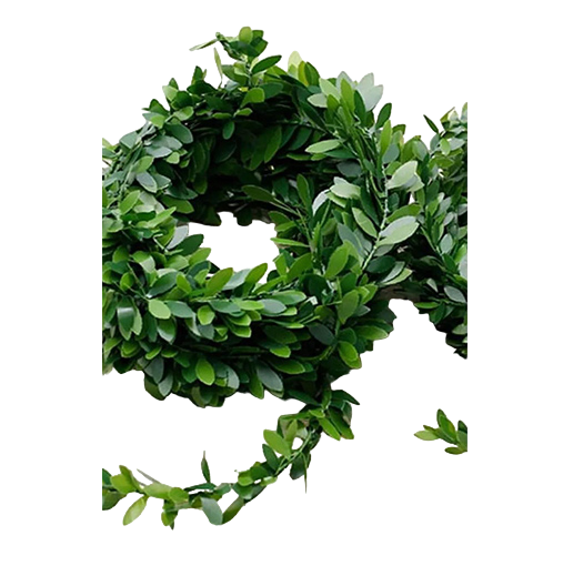 Decorative Products
