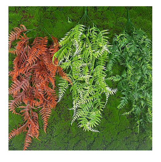 Decorative Products