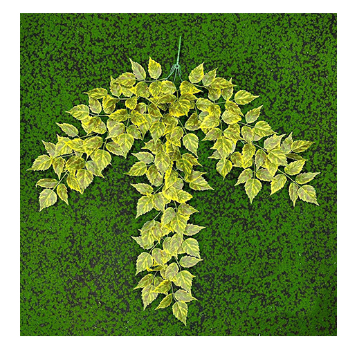 Decorative Products