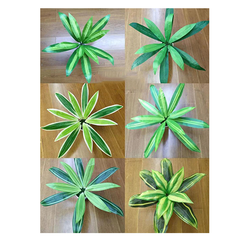 Greens Bundles