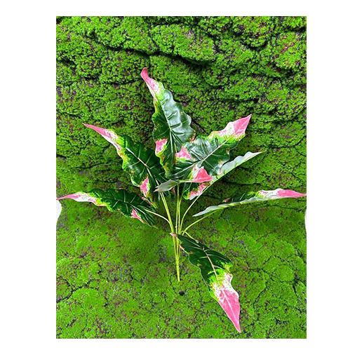 Greens Bundles